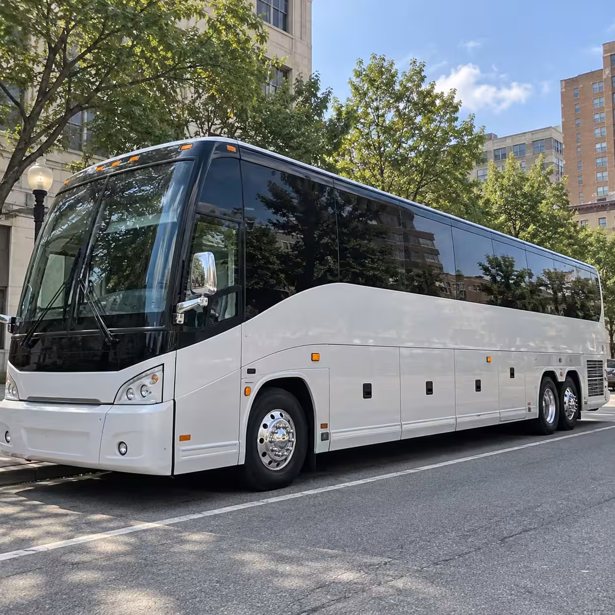 avondale party buses for bachelorette nights and after parties